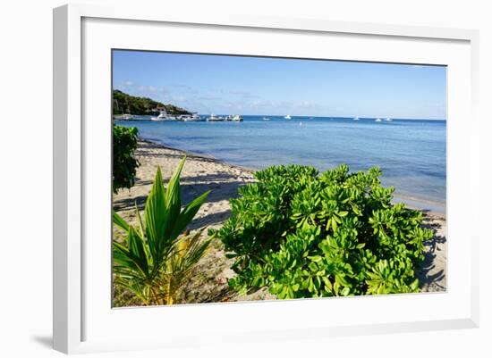 Oualie Beach, Nevis, St. Kitts and Nevis, Leeward Islands, West Indies, Caribbean, Central America-Robert Harding-Framed Photographic Print