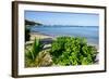 Oualie Beach, Nevis, St. Kitts and Nevis, Leeward Islands, West Indies, Caribbean, Central America-Robert Harding-Framed Photographic Print