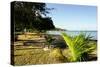 Oualie Beach, Nevis, St. Kitts and Nevis, Leeward Islands, West Indies, Caribbean, Central America-Robert Harding-Stretched Canvas