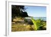 Oualie Beach, Nevis, St. Kitts and Nevis, Leeward Islands, West Indies, Caribbean, Central America-Robert Harding-Framed Photographic Print