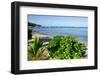 Oualie Beach, Nevis, St. Kitts and Nevis, Leeward Islands, West Indies, Caribbean, Central America-Robert Harding-Framed Photographic Print