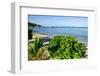 Oualie Beach, Nevis, St. Kitts and Nevis, Leeward Islands, West Indies, Caribbean, Central America-Robert Harding-Framed Photographic Print