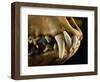 Ouch-Nathan Griffith-Framed Photographic Print
