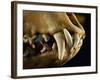 Ouch-Nathan Griffith-Framed Photographic Print