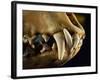 Ouch-Nathan Griffith-Framed Photographic Print