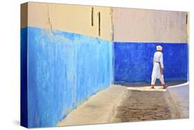 Oudaia Kasbah, Rabat, Morocco, North Africa, Africa-Neil Farrin-Stretched Canvas