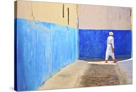 Oudaia Kasbah, Rabat, Morocco, North Africa, Africa-Neil Farrin-Stretched Canvas