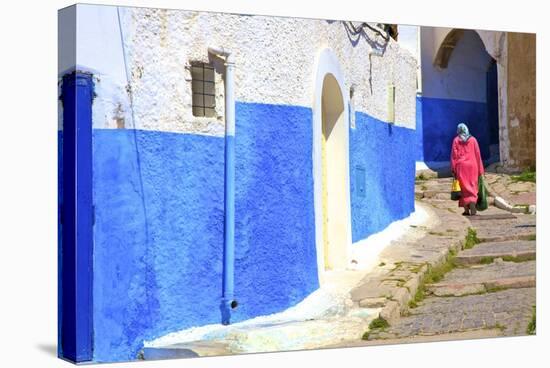 Oudaia Kasbah, Rabat, Morocco, North Africa, Africa-Neil Farrin-Stretched Canvas