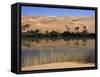 Oum El Ma Lake, Mandara Valley, Southwest Desert, Libya, North Africa, Africa-Nico Tondini-Framed Stretched Canvas