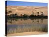 Oum El Ma Lake, Mandara Valley, Southwest Desert, Libya, North Africa, Africa-Nico Tondini-Stretched Canvas