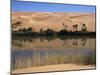 Oum El Ma Lake, Mandara Valley, Southwest Desert, Libya, North Africa, Africa-Nico Tondini-Mounted Photographic Print