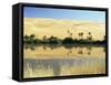 Oum El Ma Lake, Mandara Valley, Southwest Desert, Libya, North Africa, Africa-Nico Tondini-Framed Stretched Canvas