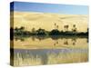 Oum El Ma Lake, Mandara Valley, Southwest Desert, Libya, North Africa, Africa-Nico Tondini-Stretched Canvas