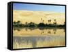 Oum El Ma Lake, Mandara Valley, Southwest Desert, Libya, North Africa, Africa-Nico Tondini-Framed Stretched Canvas