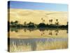 Oum El Ma Lake, Mandara Valley, Southwest Desert, Libya, North Africa, Africa-Nico Tondini-Stretched Canvas