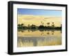 Oum El Ma Lake, Mandara Valley, Southwest Desert, Libya, North Africa, Africa-Nico Tondini-Framed Photographic Print