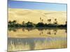 Oum El Ma Lake, Mandara Valley, Southwest Desert, Libya, North Africa, Africa-Nico Tondini-Mounted Photographic Print