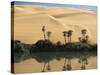 Oum El Ma (Umm El Ma) Lake, Mandara Valley, Southwest Desert, Libya, North Africa, Africa-Nico Tondini-Stretched Canvas