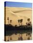 Oum El Ma (Umm El Ma) Lake, Mandara Valley, Southwest Desert, Libya, North Africa, Africa-Nico Tondini-Stretched Canvas