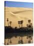 Oum El Ma (Umm El Ma) Lake, Mandara Valley, Southwest Desert, Libya, North Africa, Africa-Nico Tondini-Stretched Canvas