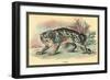 Ounce-Sir William Jardine-Framed Art Print