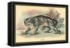 Ounce-Sir William Jardine-Framed Stretched Canvas