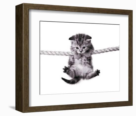 Oups!-null-Framed Art Print