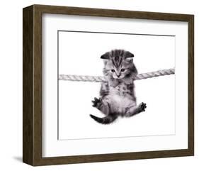 Oups!-null-Framed Art Print