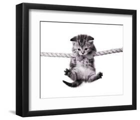 Oups!-null-Framed Art Print