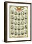 Our 25 Presidents-null-Framed Art Print