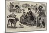 Our Artist's Notes at a Dog Show-John Charles Dollman-Mounted Giclee Print