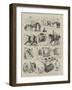 Our Artist's Notes at the Royal Agricultural Show at Liverpool-null-Framed Giclee Print