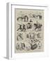 Our Artist's Notes at the Royal Agricultural Show at Liverpool-null-Framed Giclee Print