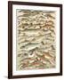 Our British Fresh Water Fish-English School-Framed Giclee Print