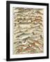 Our British Fresh Water Fish-English School-Framed Giclee Print