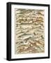 Our British Fresh Water Fish-English School-Framed Giclee Print