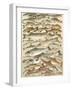 Our British Fresh Water Fish-English School-Framed Giclee Print