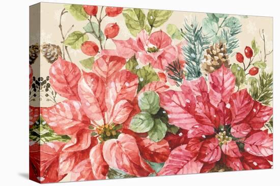 Our Christmas Story Poinsettias-Lisa Audit-Stretched Canvas