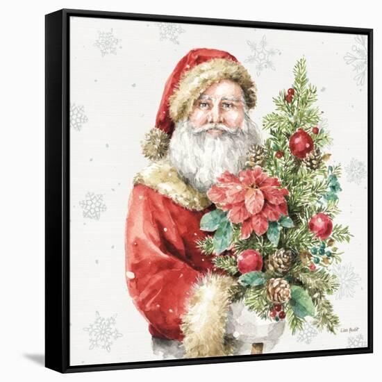 Our Christmas Story XIV-Lisa Audit-Framed Stretched Canvas