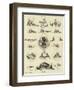 Our Dachshunds-null-Framed Giclee Print