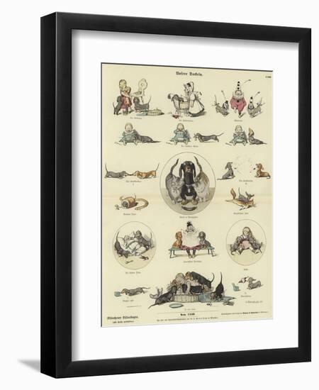 Our Dachshunds-null-Framed Giclee Print