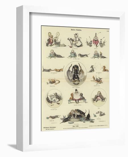 Our Dachshunds-null-Framed Giclee Print