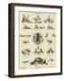 Our Dachshunds-null-Framed Giclee Print