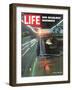 Our Deadliest Highways, Ambulance Speeding Car Accident Victim to Hospital, May 30, 1969-Ralph Crane-Framed Photographic Print