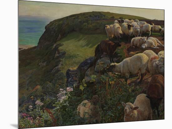 Our English Coasts, 1852 ('Strayed Sheep')-William Holman Hunt-Mounted Giclee Print