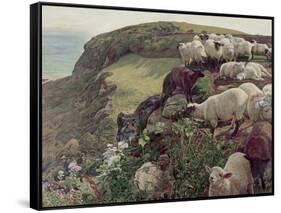 Our English Coasts-William Holman Hunt-Framed Stretched Canvas