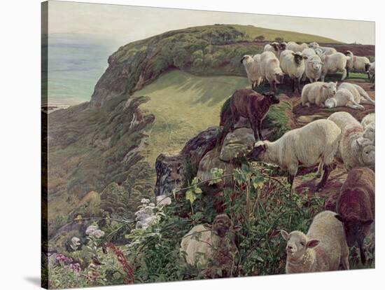 Our English Coasts-William Holman Hunt-Stretched Canvas