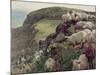 Our English Coasts-William Holman Hunt-Mounted Giclee Print