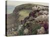 Our English Coasts-William Holman Hunt-Stretched Canvas
