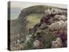 Our English Coasts-William Holman Hunt-Stretched Canvas